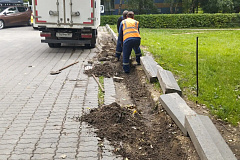 Работы по замене бортового камня